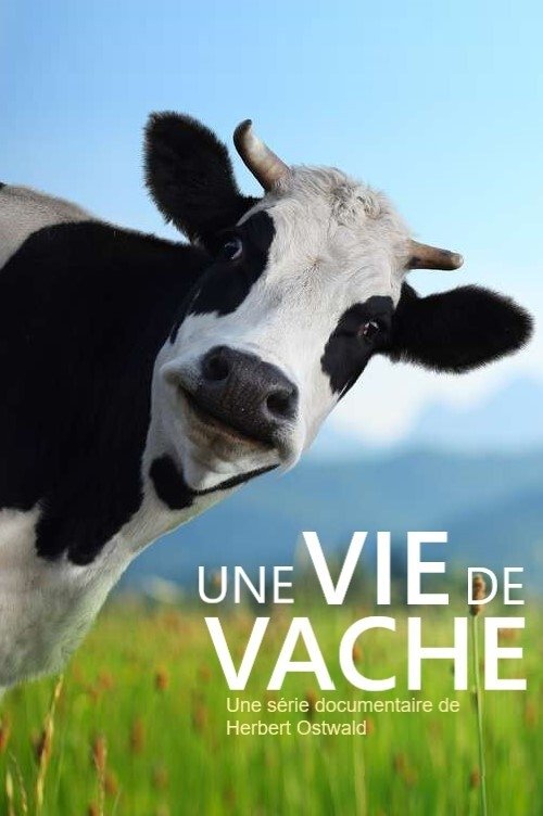 Poster de The Secret Life of Cows