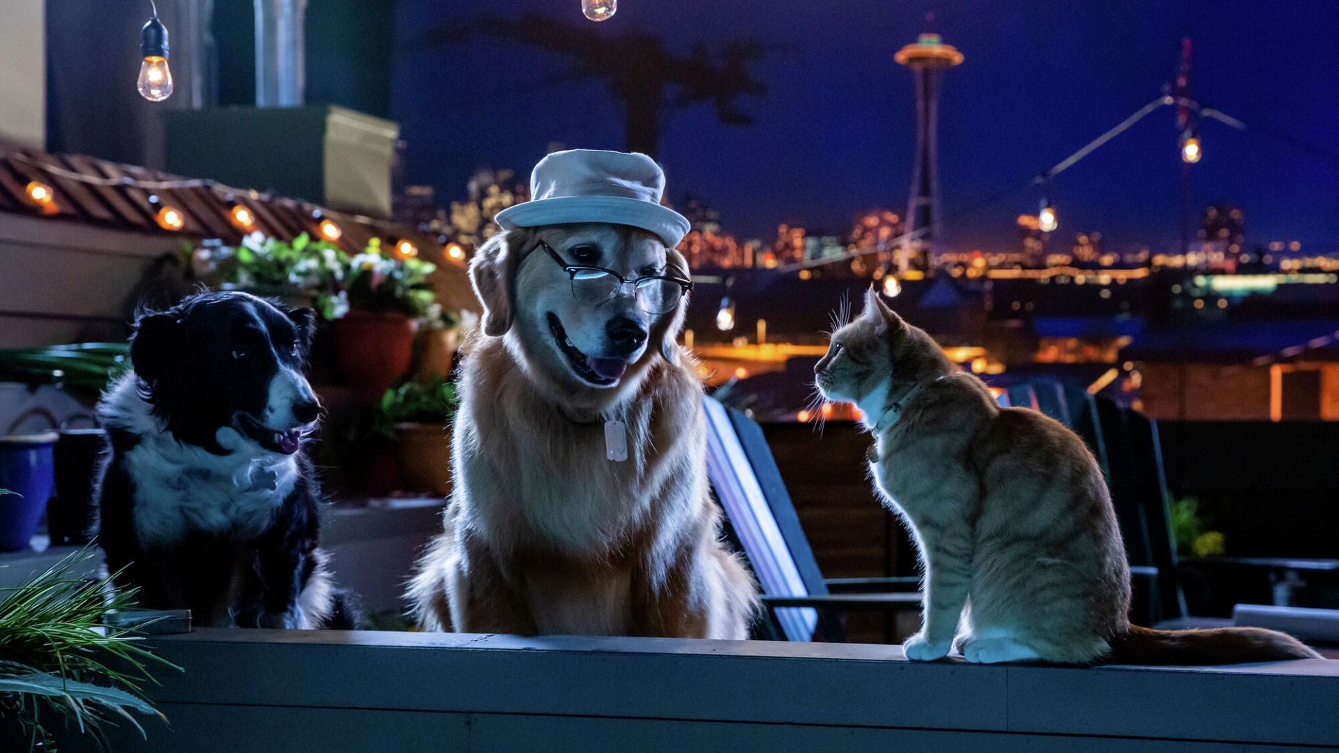 Cats & Dogs 3: Paws Unite 2020 123movies