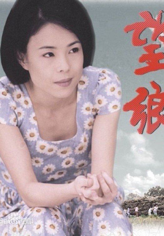 Poster de 望鄉