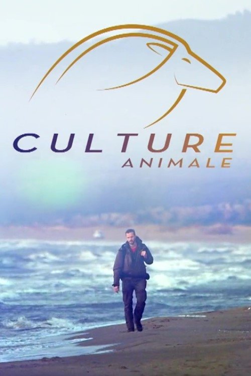 Poster de Culture Animale
