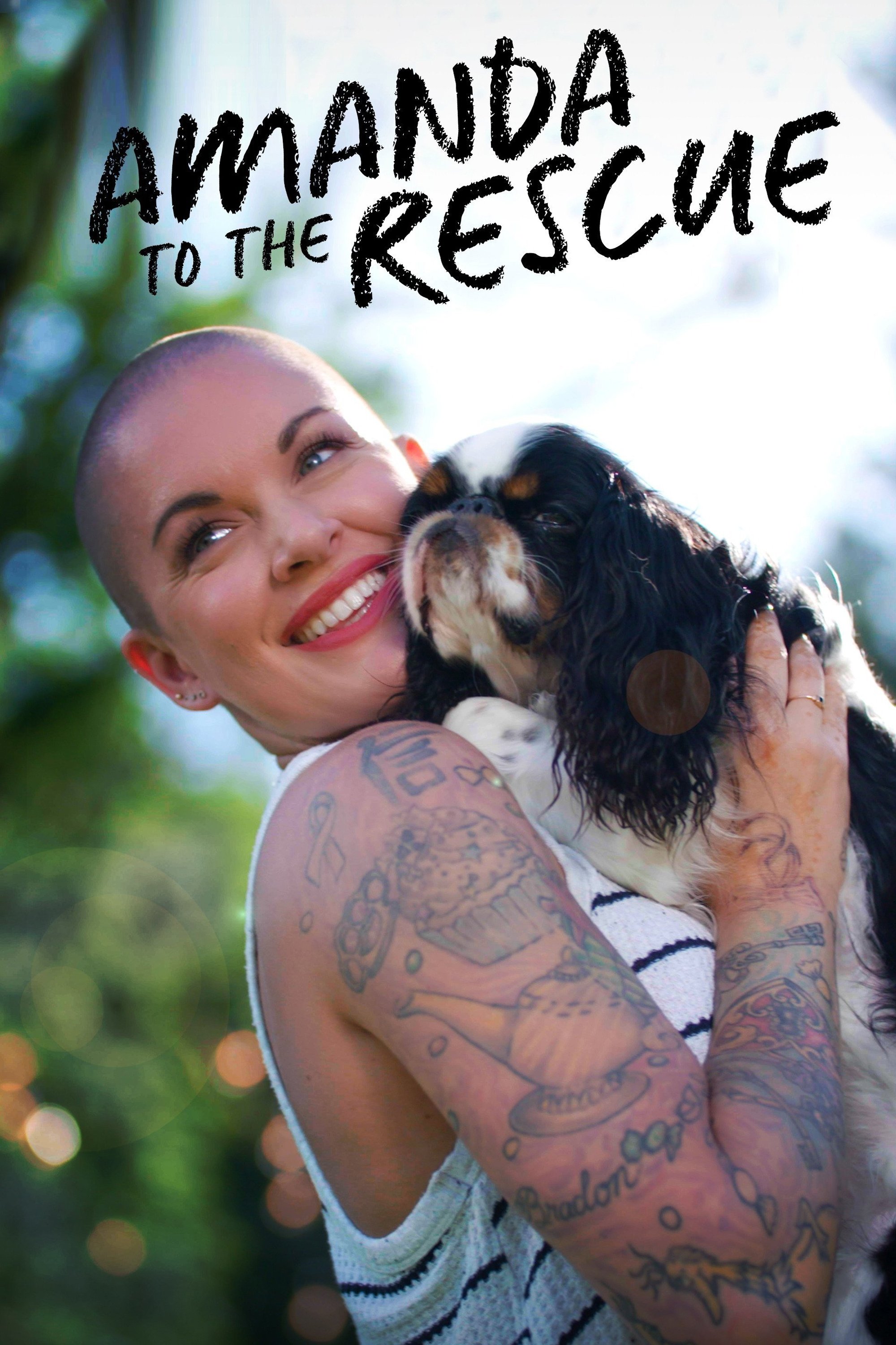 Poster de Amanda to the Rescue