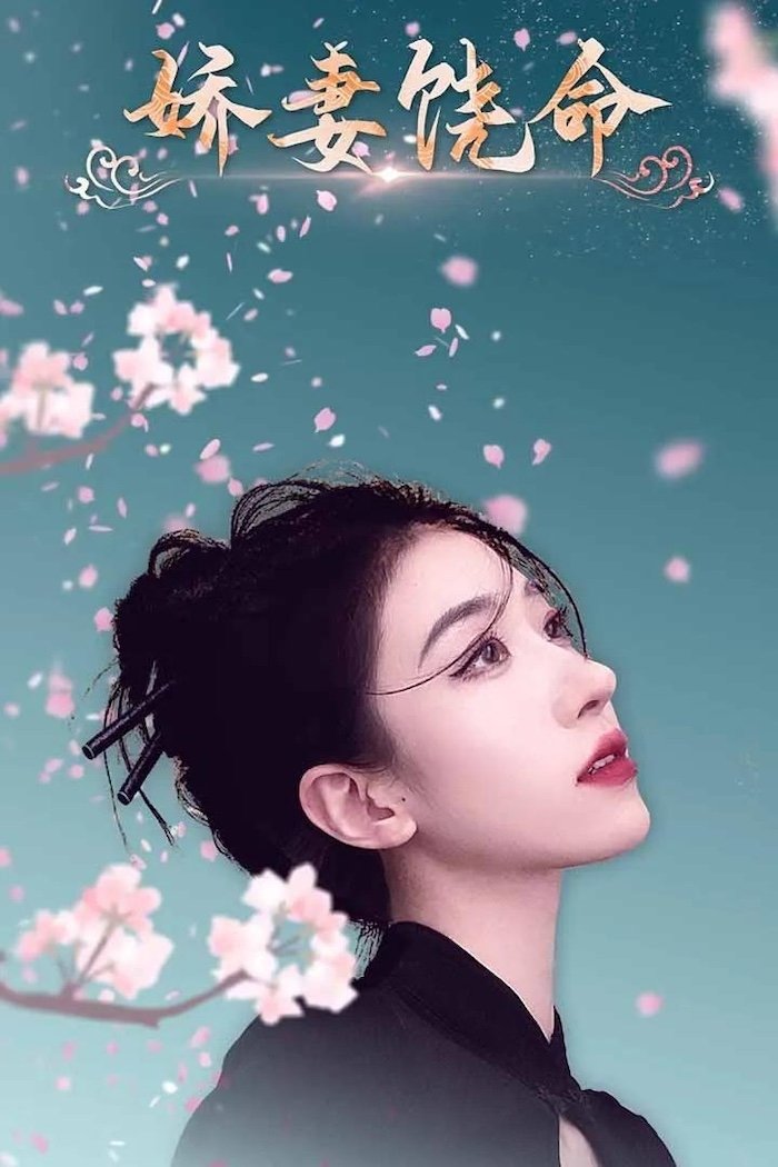 Poster de 娇妻饶命
