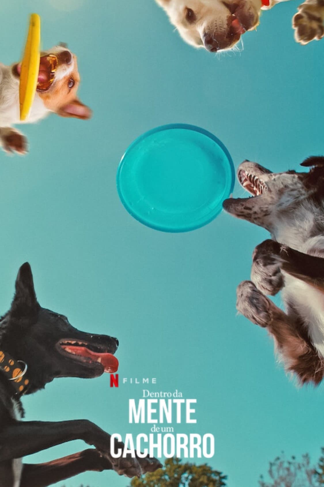 Poster de Dentro da Mente de um Cachorro
