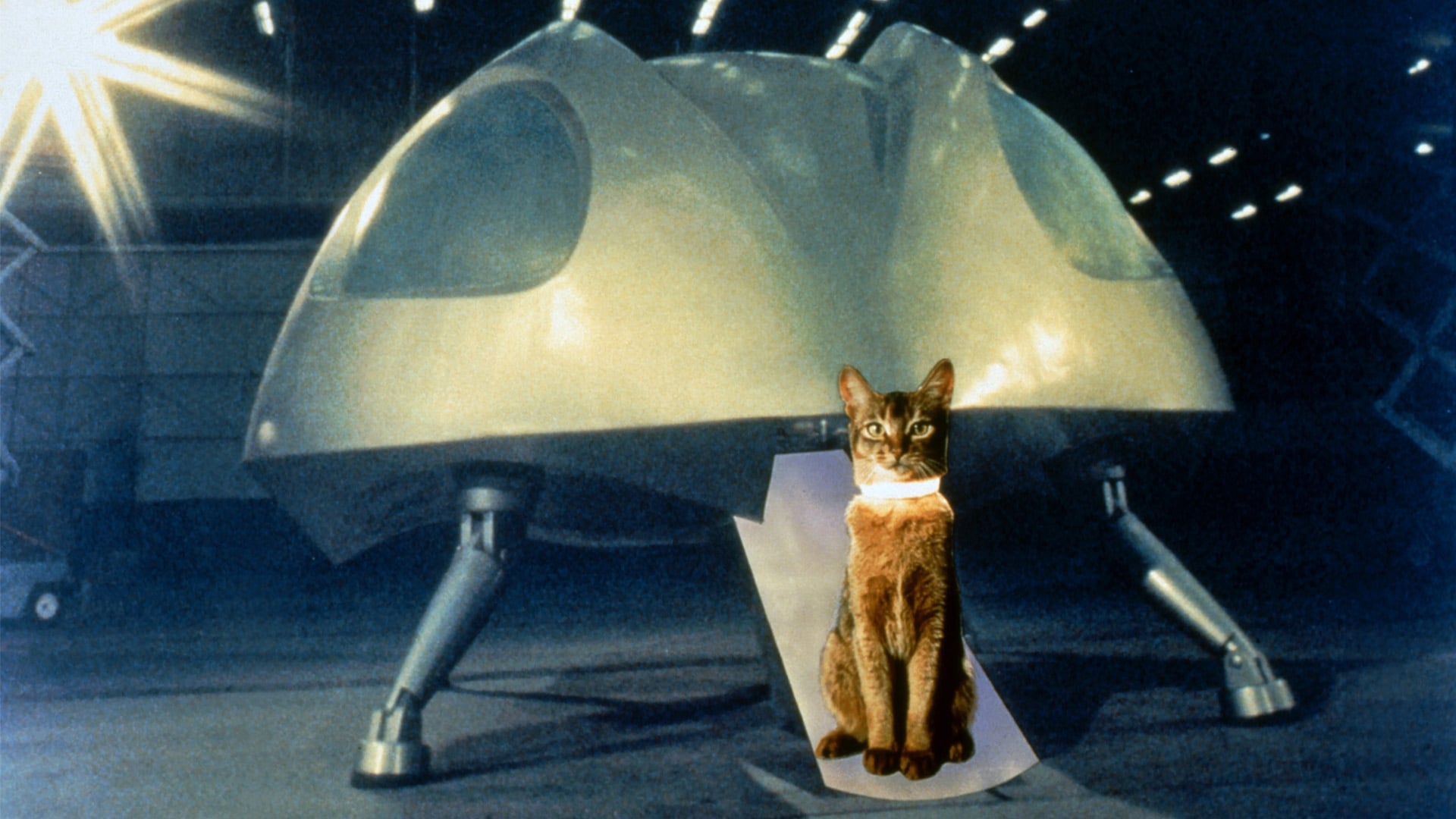 The Cat from Outer Space 1978 123movies