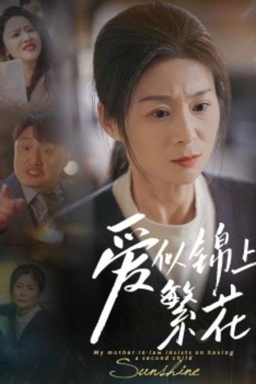 Poster de 爱似锦上繁花