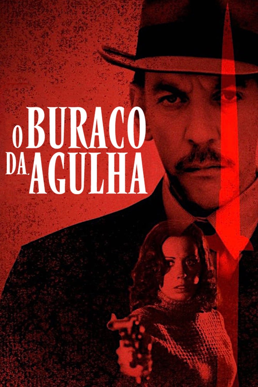 Poster de O Buraco da Agulha