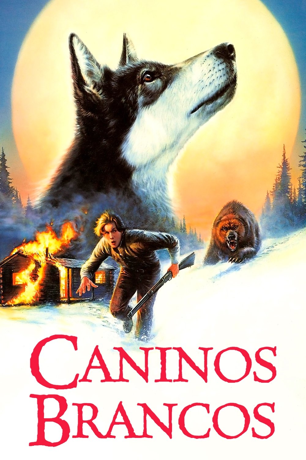Poster de Caninos Brancos