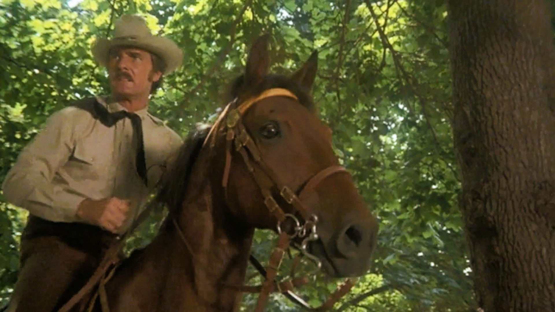 Manhattan Manhunt (1) (or Horse Stealing on Fifth Avenue)