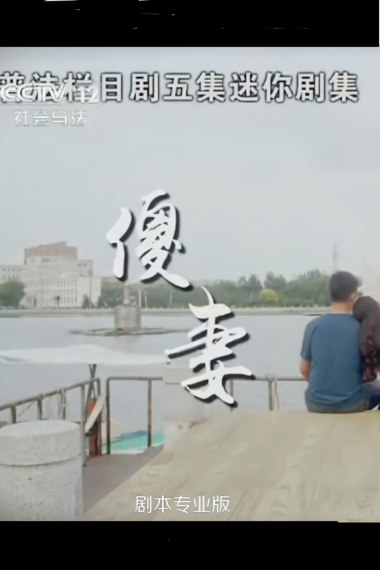 Poster de 傻妻