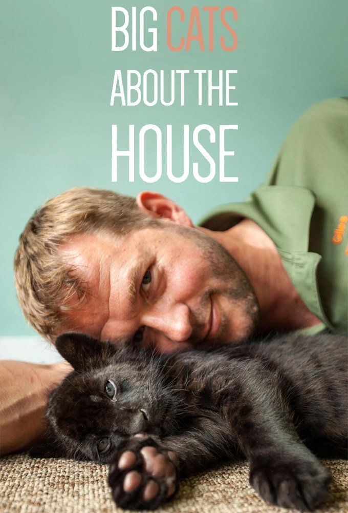 Poster de Big Cats About The House