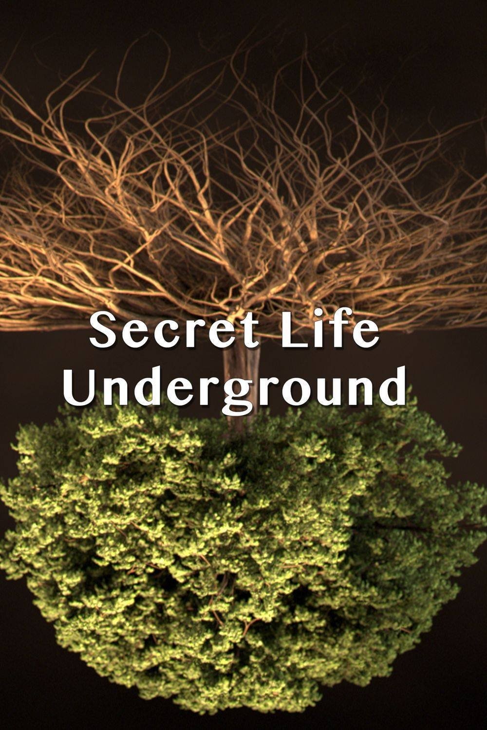 Poster de Secret Life Underground