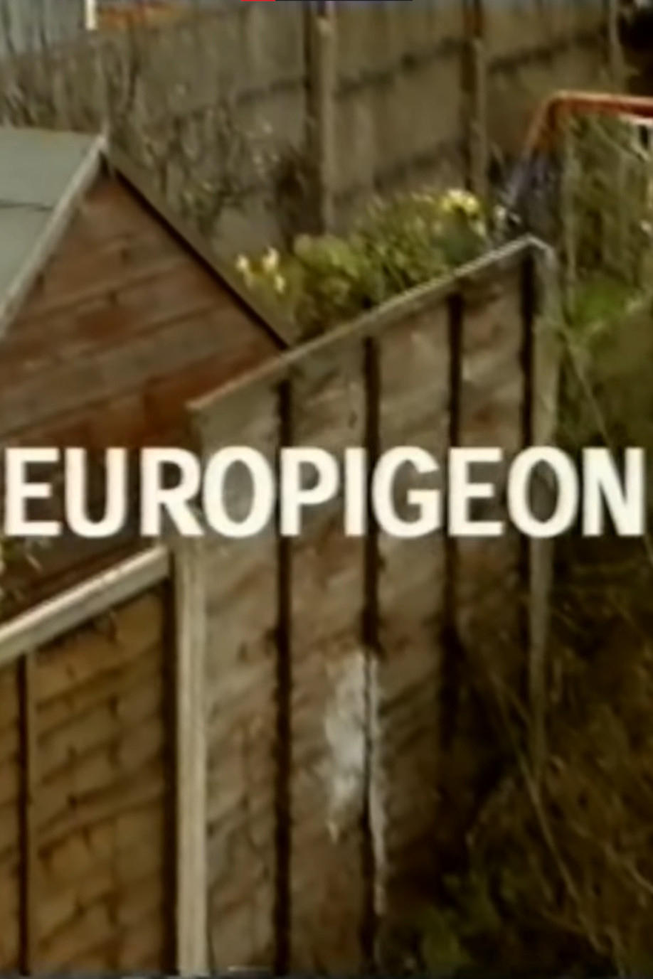 Poster de Europigeon