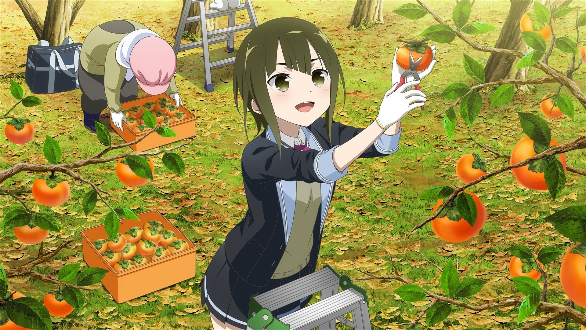 Backdrop image