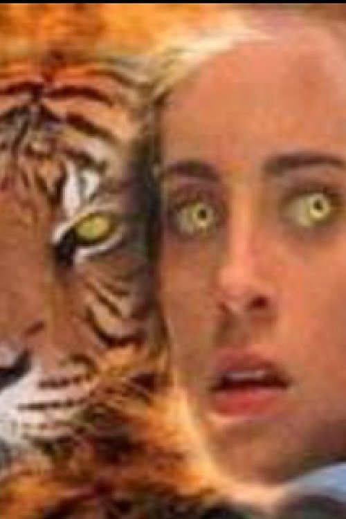 Poster de Wild Kat