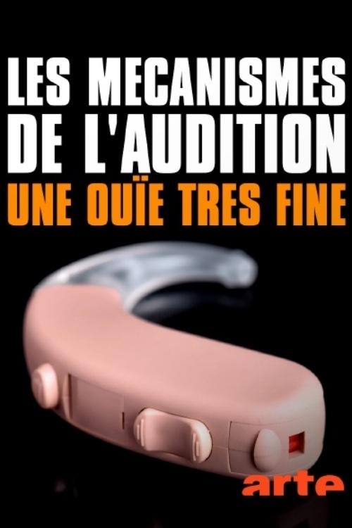 Poster de Les mécanismes de l’audition - Une ouïe très fine