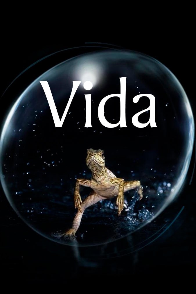 Poster de Vida