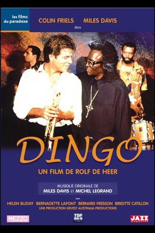 Affiche du film Dingo