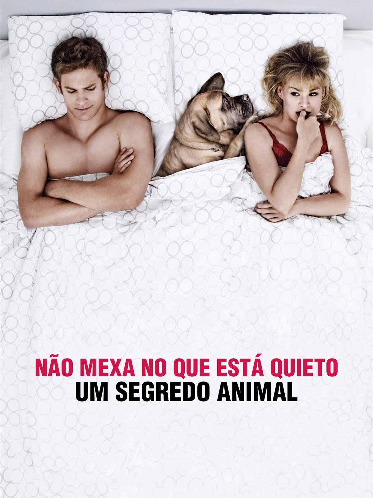 Poster de Um Segredo Animal