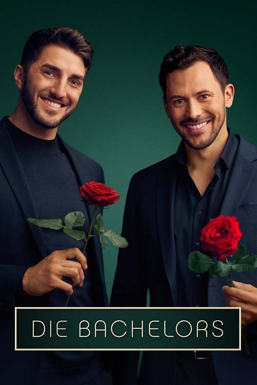 Poster de Temporada 14
