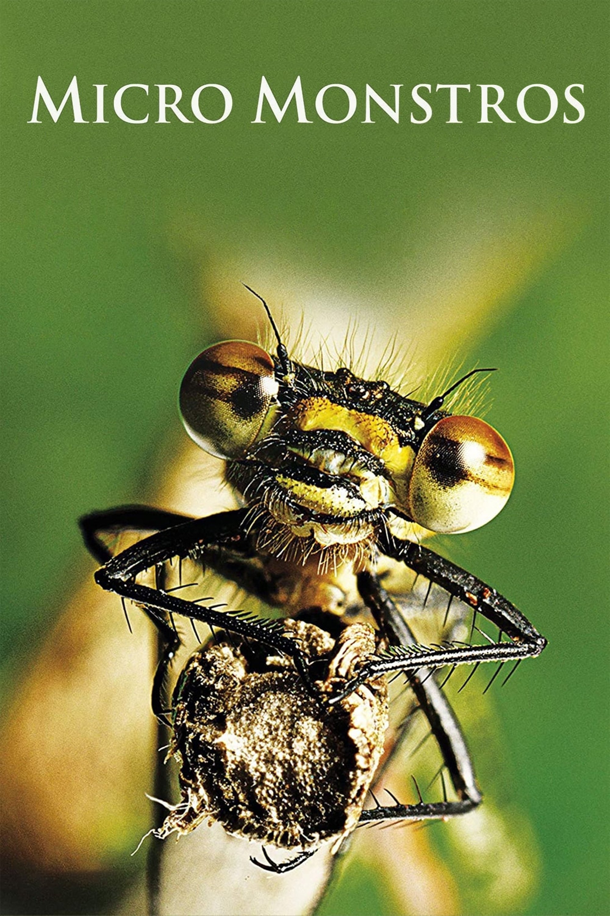 Poster de Micro Monstros
