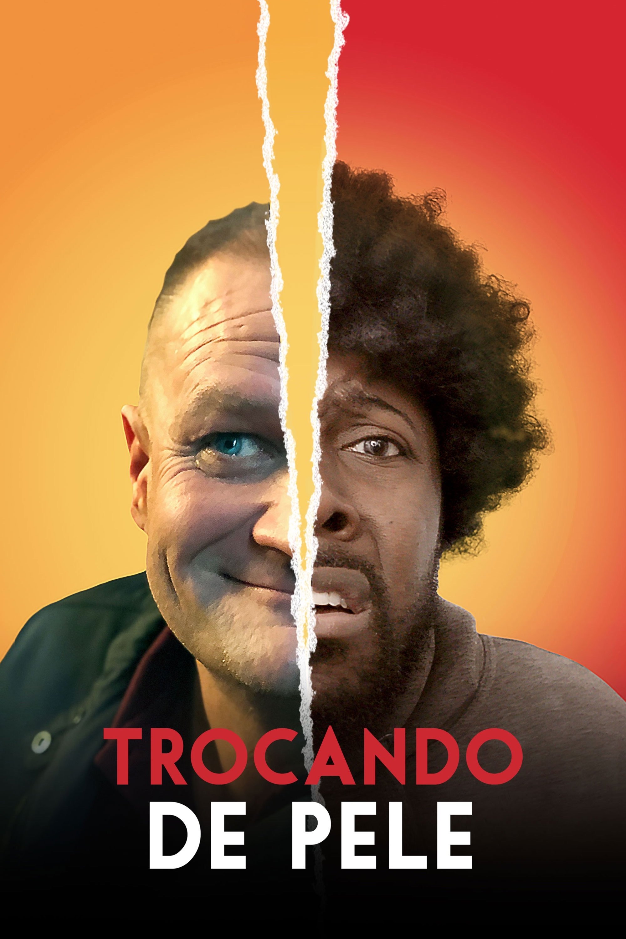 Poster de Trocando De Pele