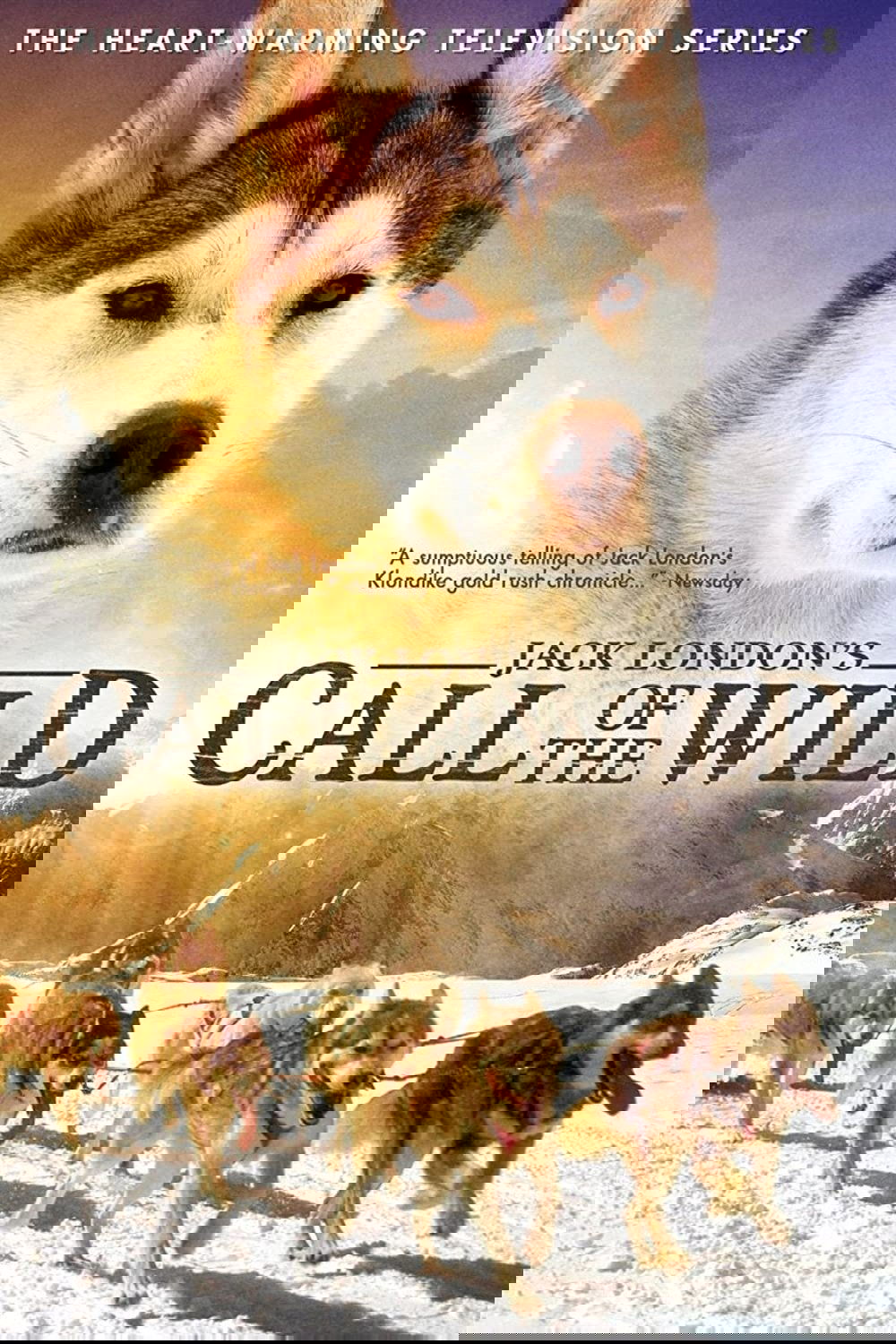 Poster de Call of the Wild