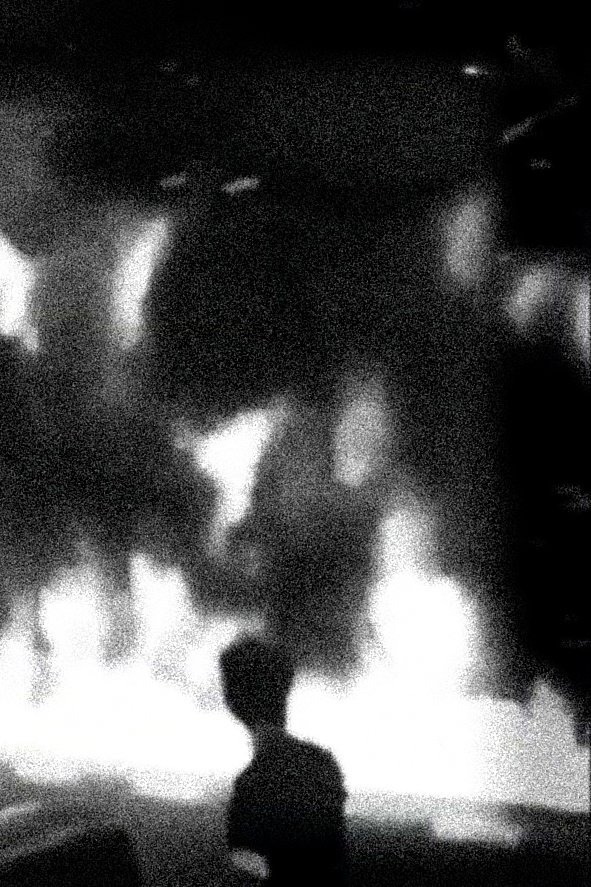 Poster de The World is Burning