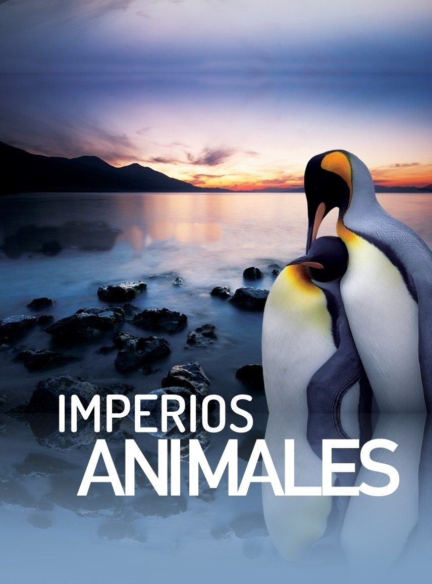 Poster de Temporada 1