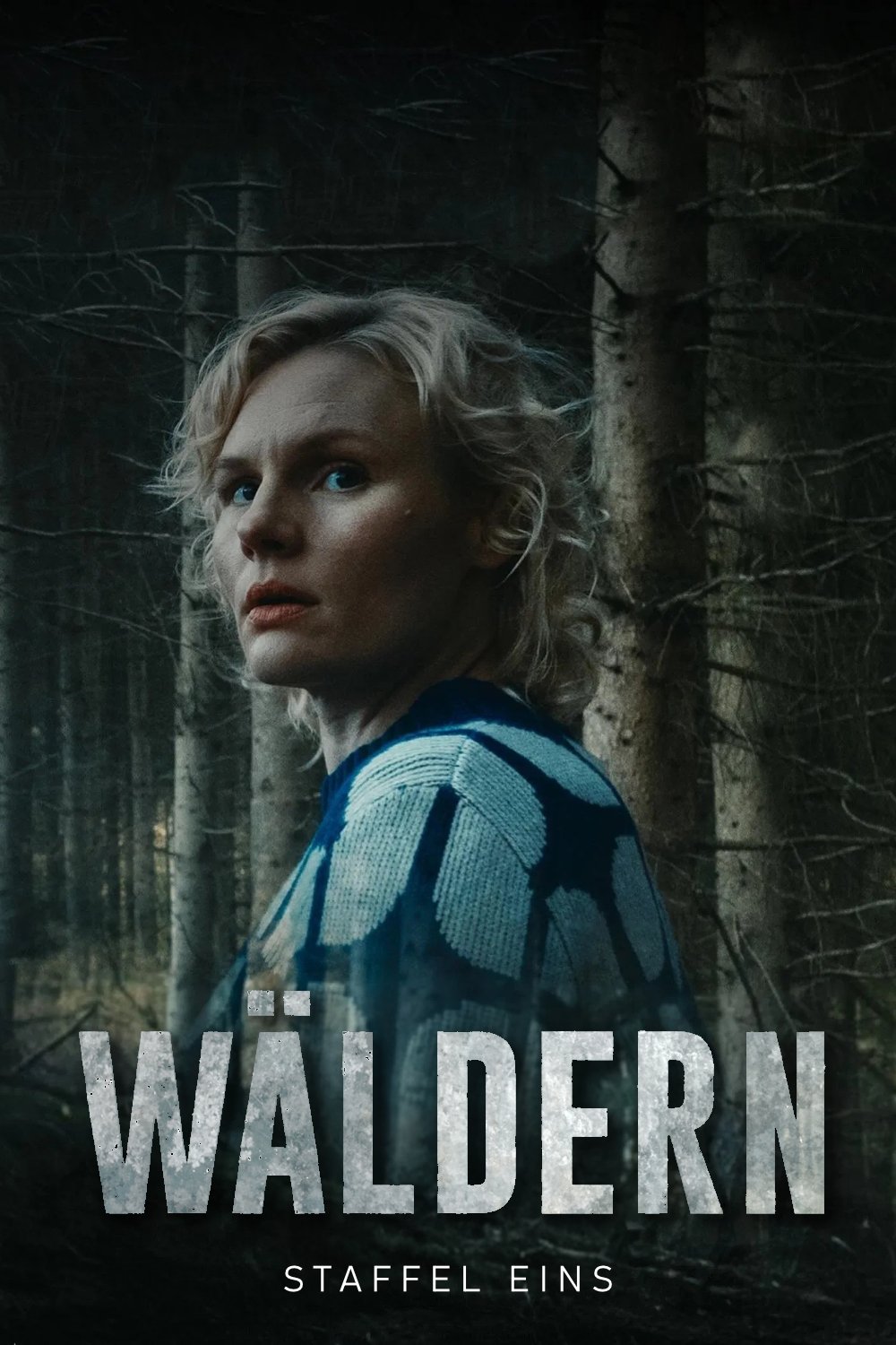 Poster de Temporada 1