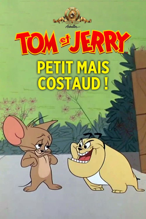 Petit mais costaud !