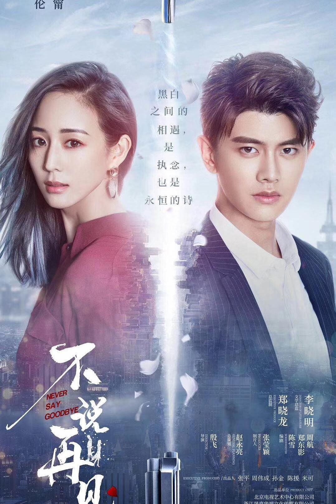Poster de Never Say Goodbye