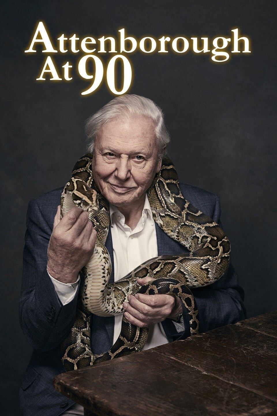 Poster de Attenborough aos 90