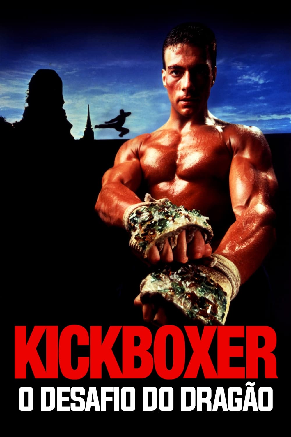 Poster de Kickboxer: O Desafio do Dragão