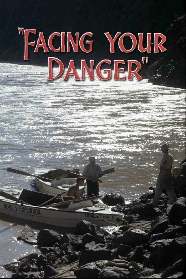Poster de Facing Your Danger