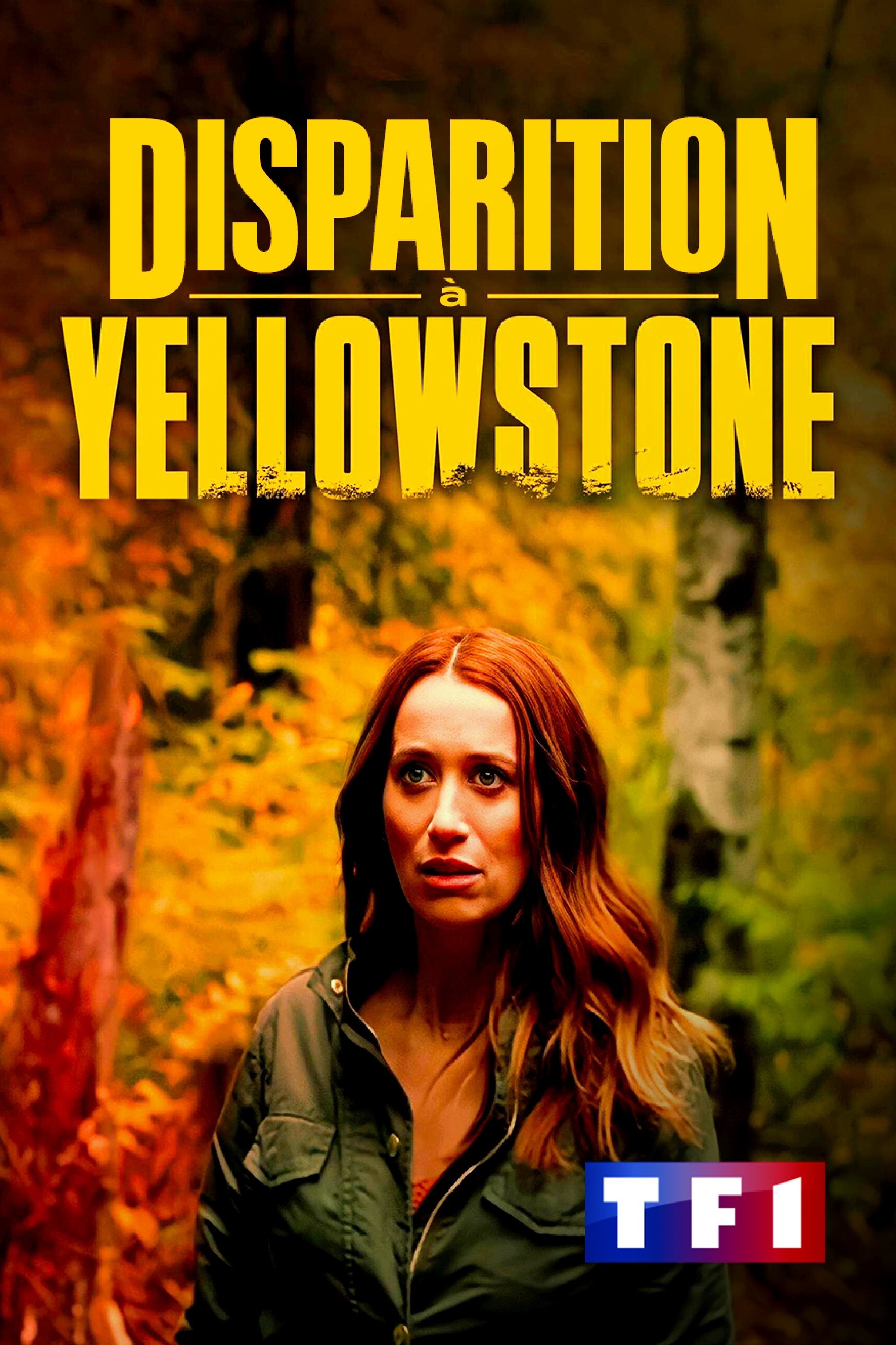 Affiche du film Disappearance in Yellowstone