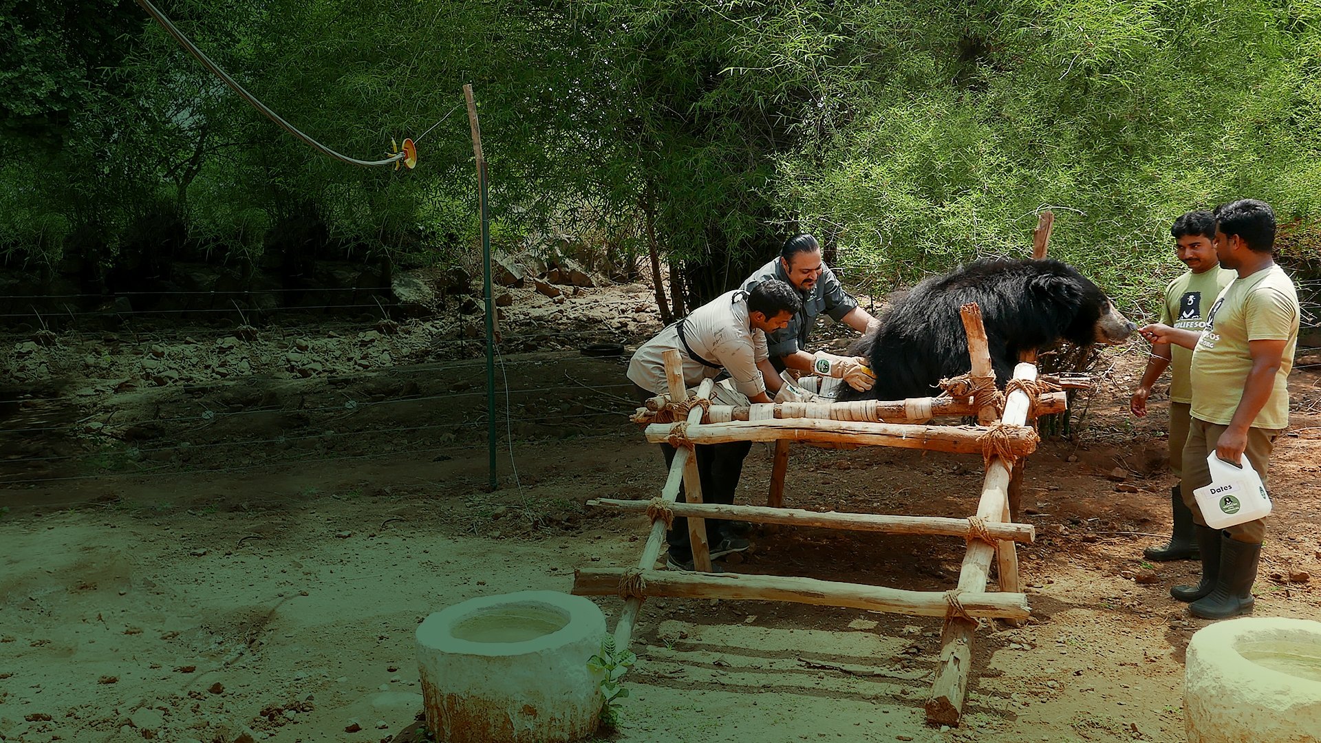 Image 4