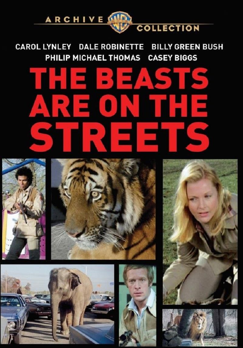 Poster de The Beasts Are on the Streets