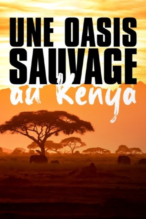 Poster de Kenia - Eine Oase im Sand