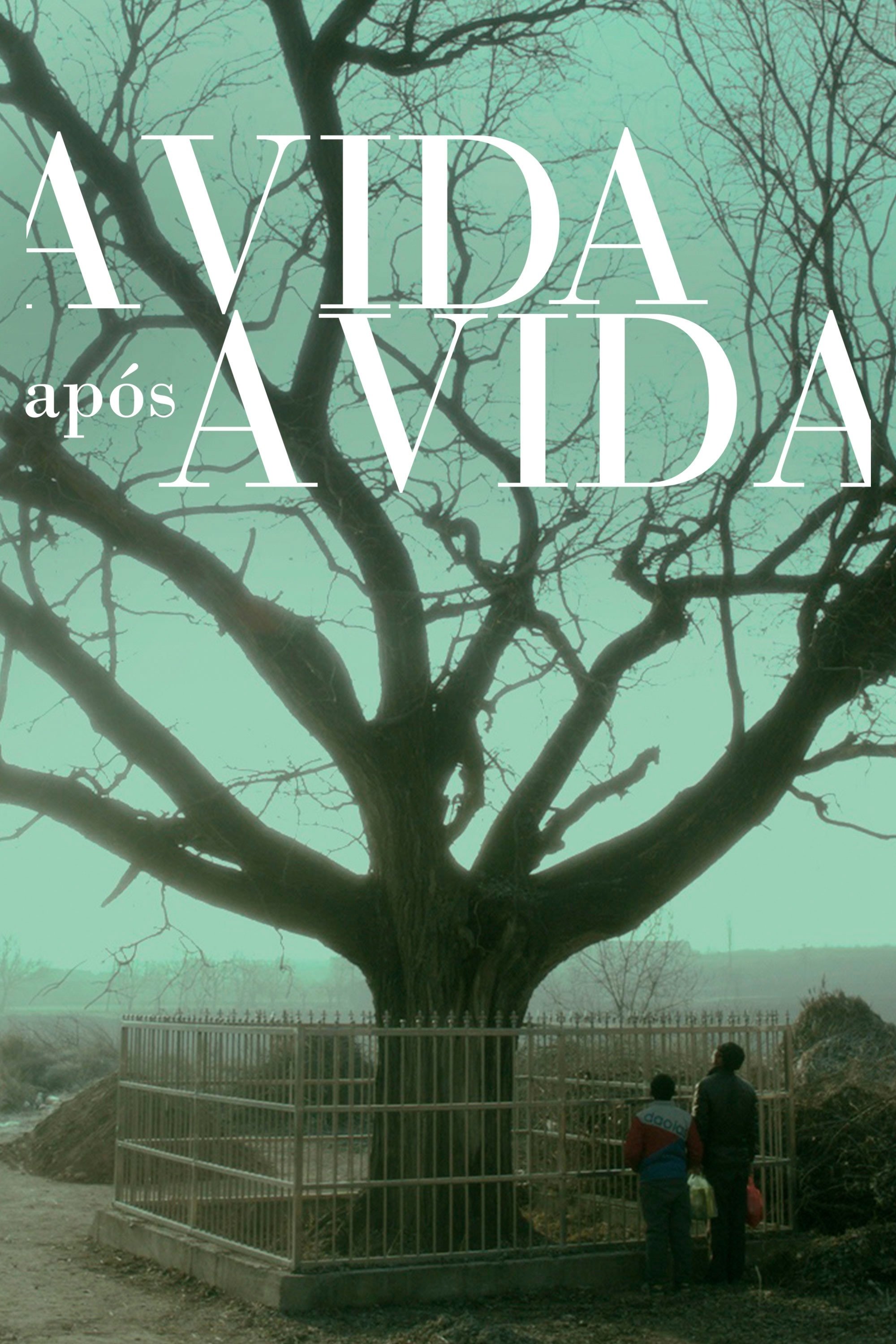 Poster de A Vida Após a Vida