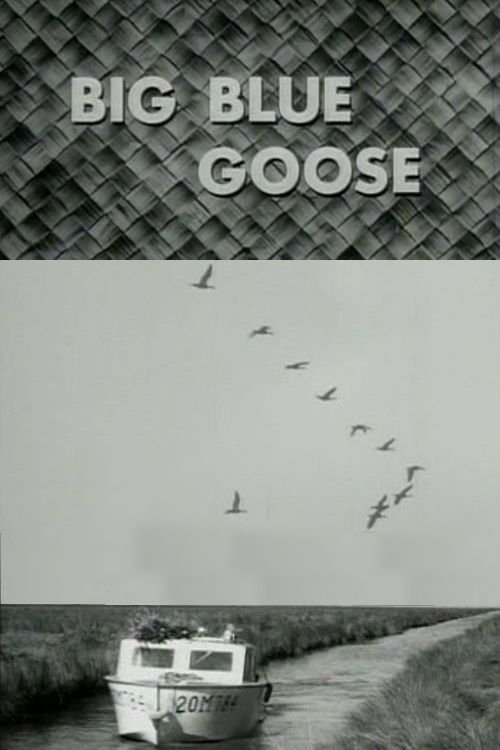 Poster de Big Blue Goose