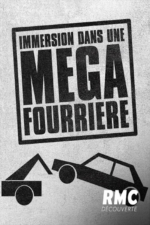 Poster de Immersion dans une méga fourrière