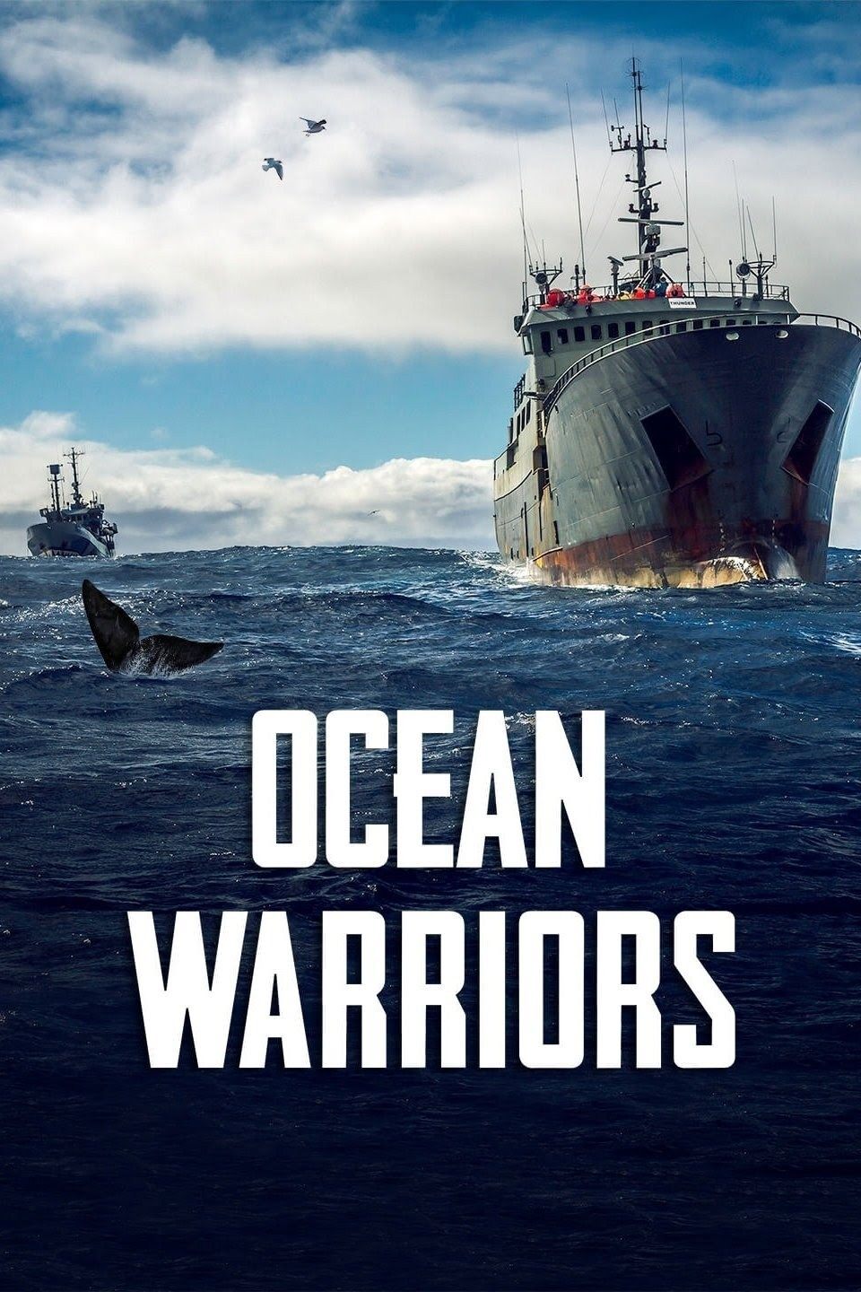 Poster de Ocean Warriors