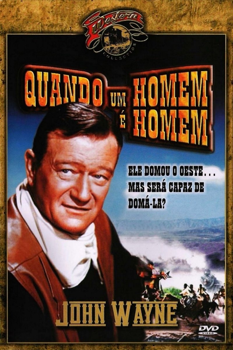 Poster de Quando um Homem É Homem