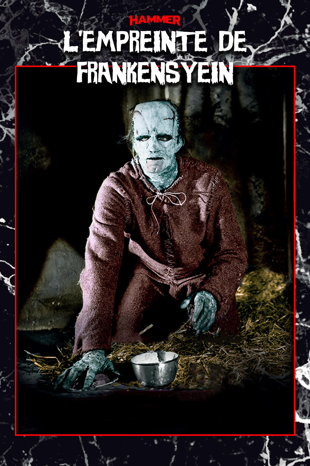 Affiche du film L'Empreinte de Frankenstein
