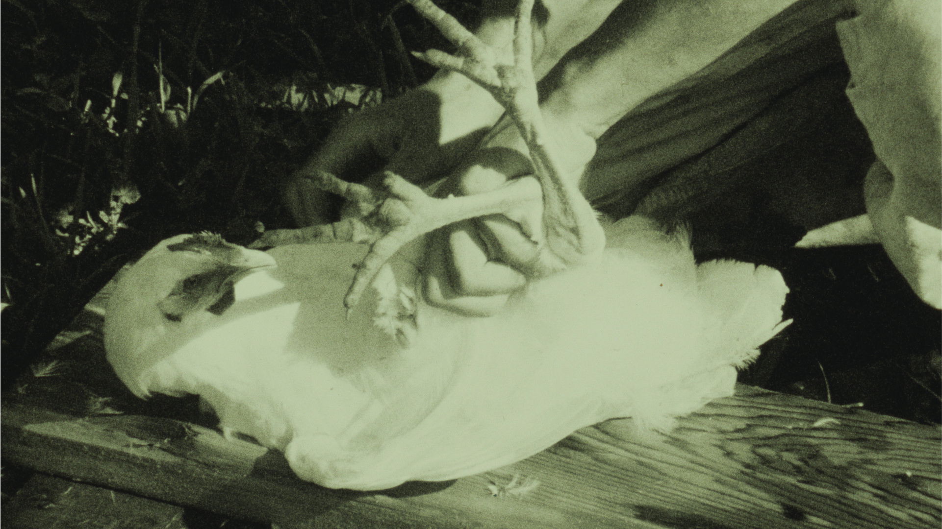 A History of Dancing