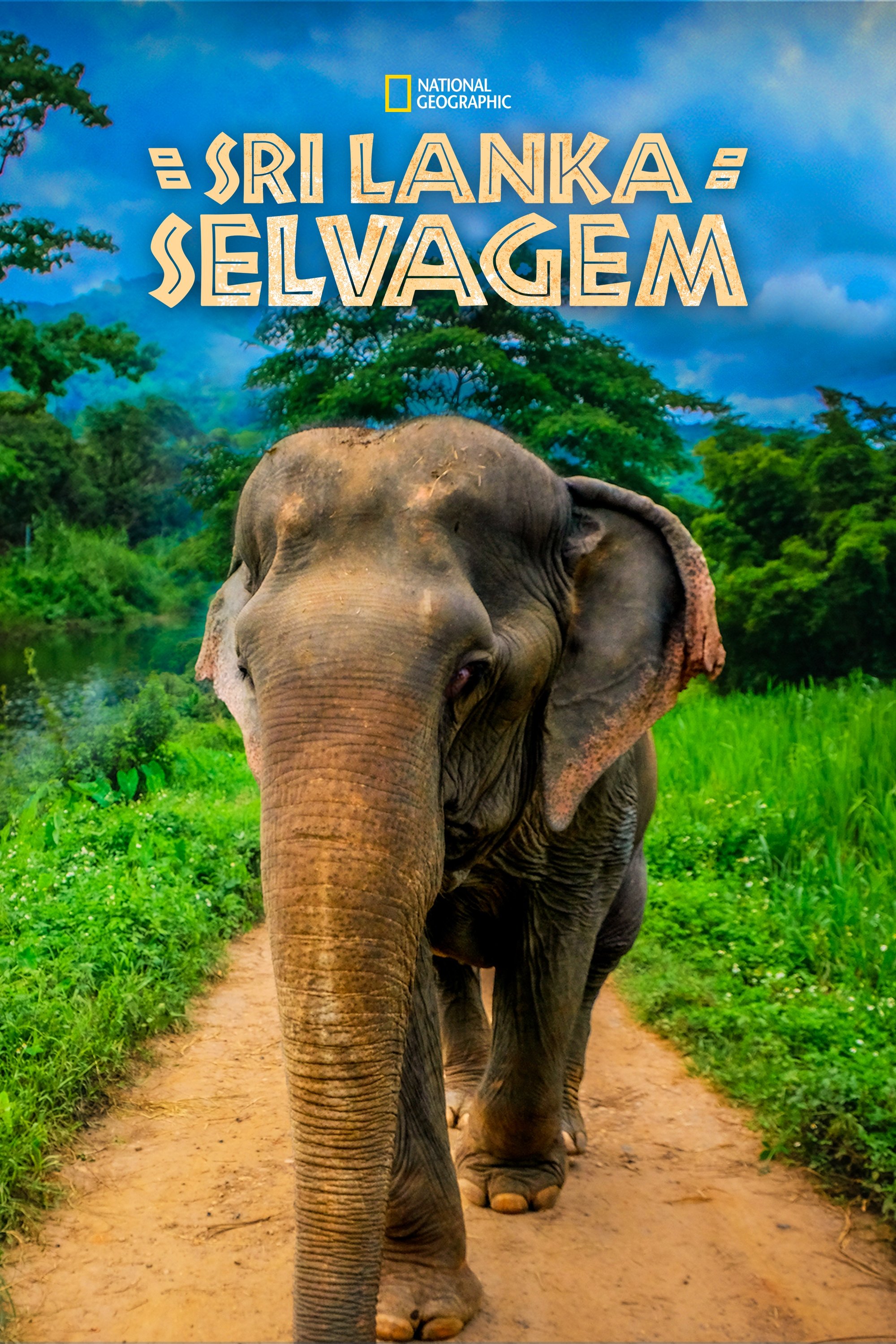 Poster de Sri Lanka Selvagem