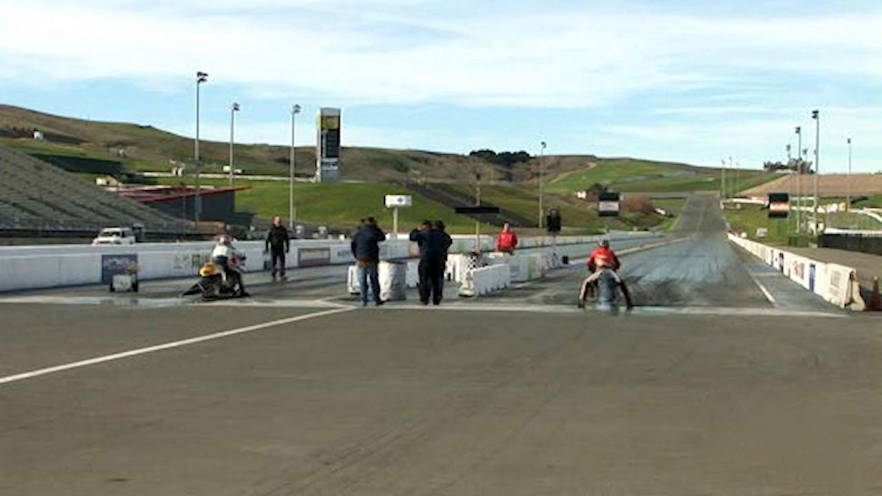 Young Scientist Special