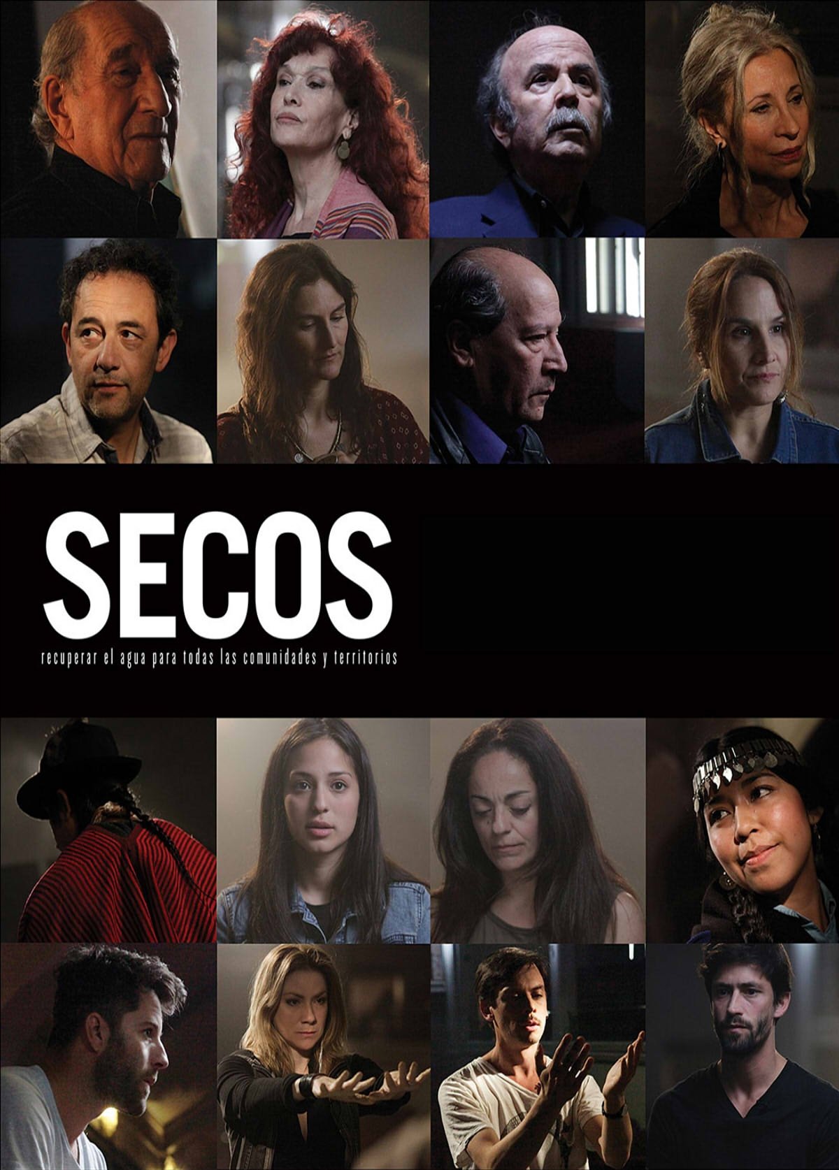 Poster de Secos