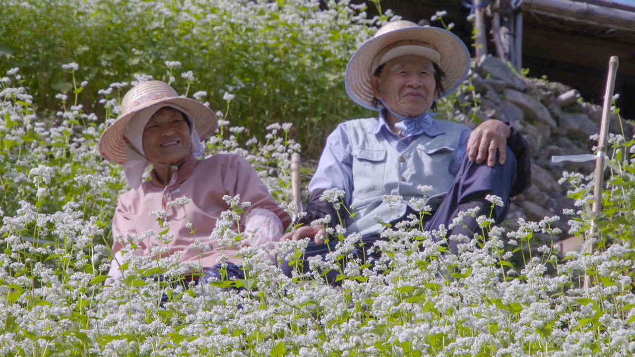 Life on a Sloping Farm