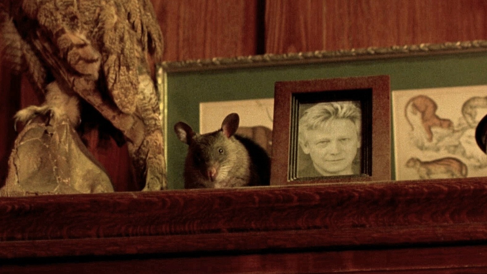 Backdrop image